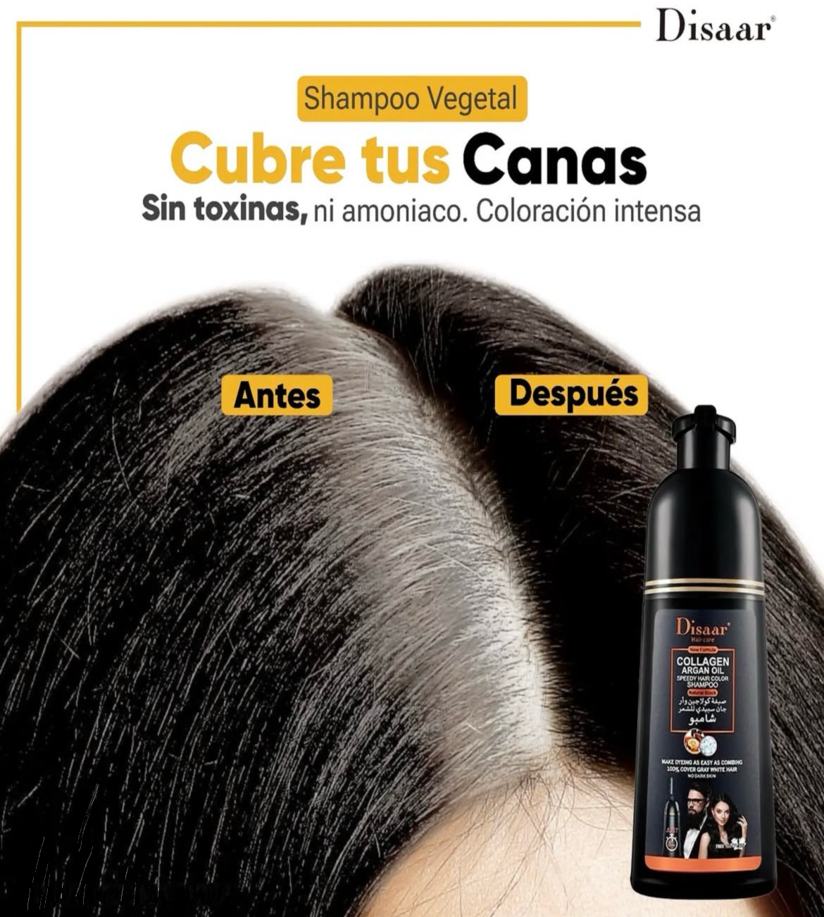 Shampoo Disaar ®