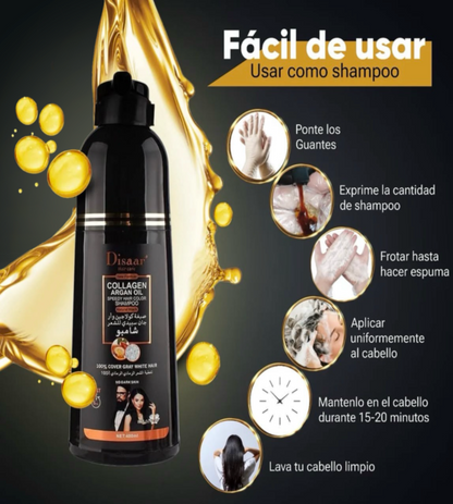 Shampoo Disaar ®