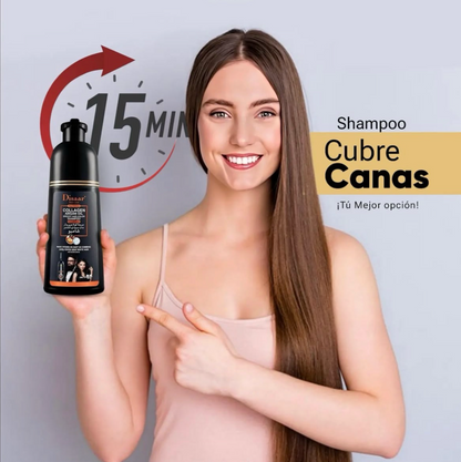 Shampoo Disaar ®